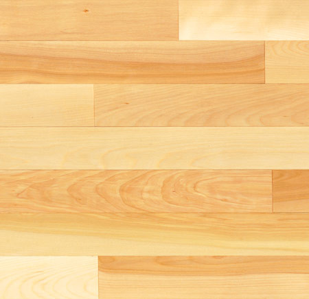 Yellow Birch