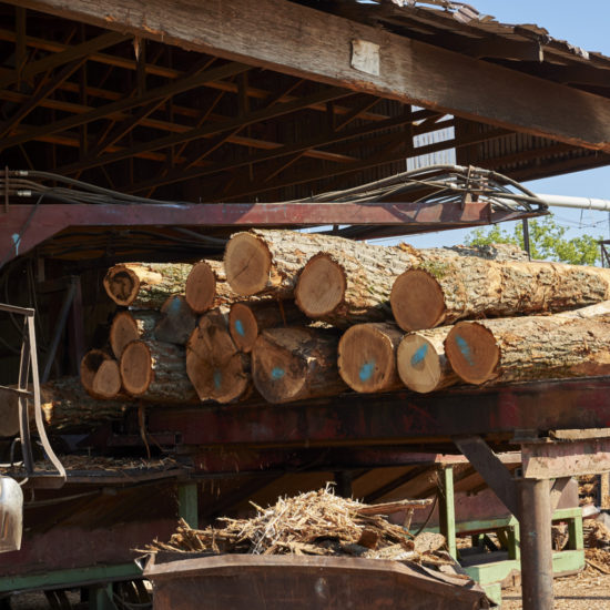 Logs used for flooring