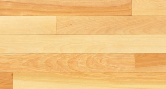 Yellow birch wide plank floors